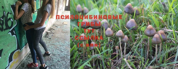 соль ск Краснотурьинск